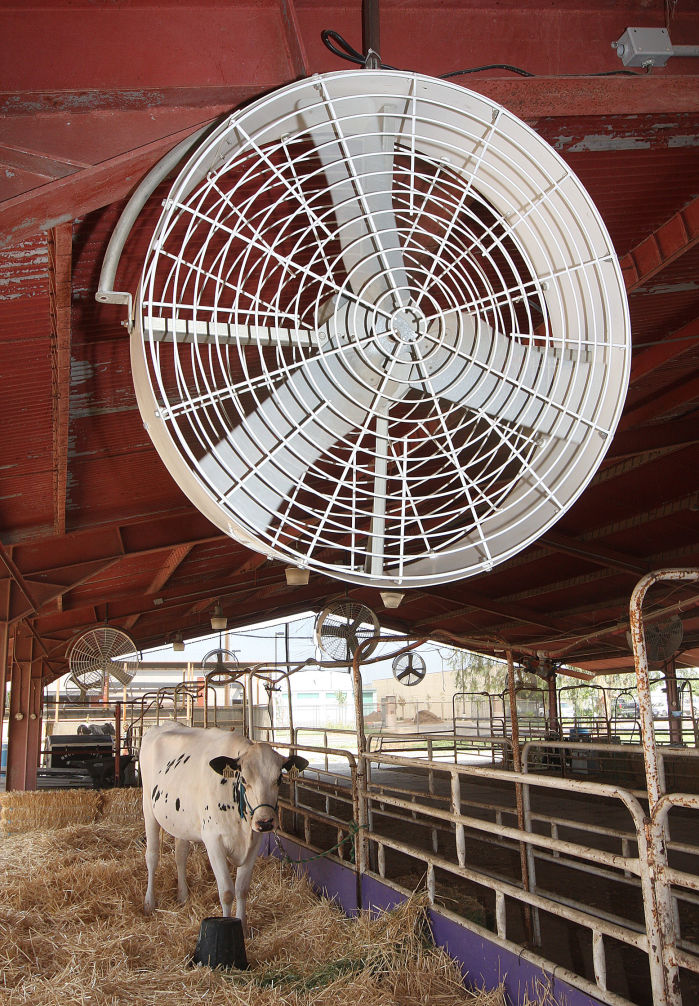 Fair Heat in check at Kings Fair
